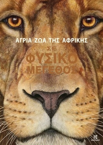 Μη διαθέσιμο εξώφυλλο